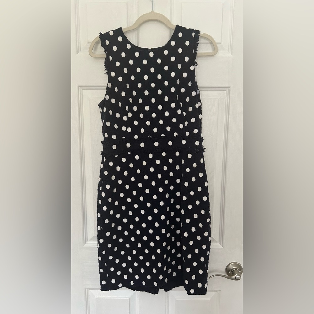 J. Crew Navy and White Polka Dot Dress